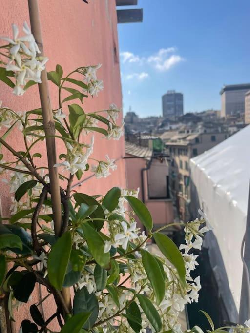 Il Nido Sui Tetti * Genua